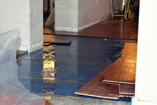 Professional Basement Water Removal technician working in Unionville Center, OH