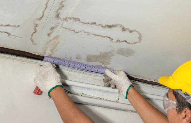 Reliable Basement Water Removal contractor in Unionville Center, OH by Water Damage Irwin